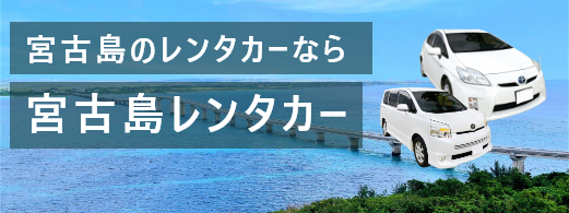 MIYACTIV RENTACAR